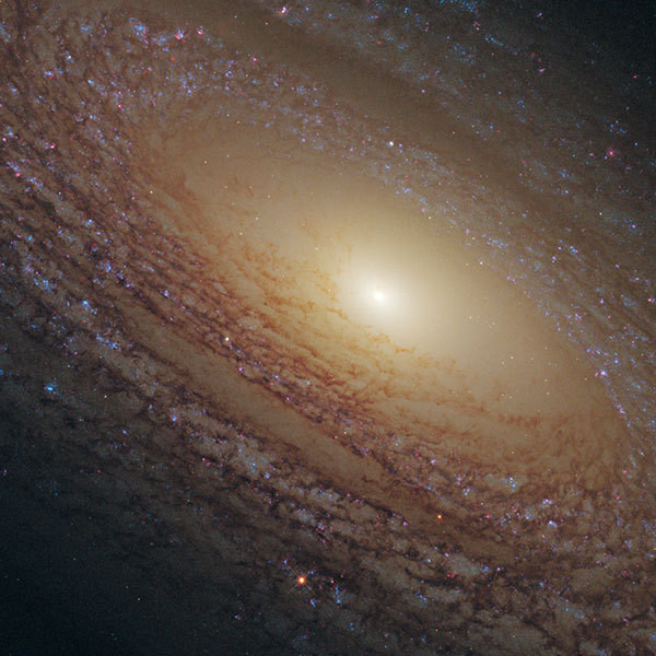 Galaxy NGC 2841