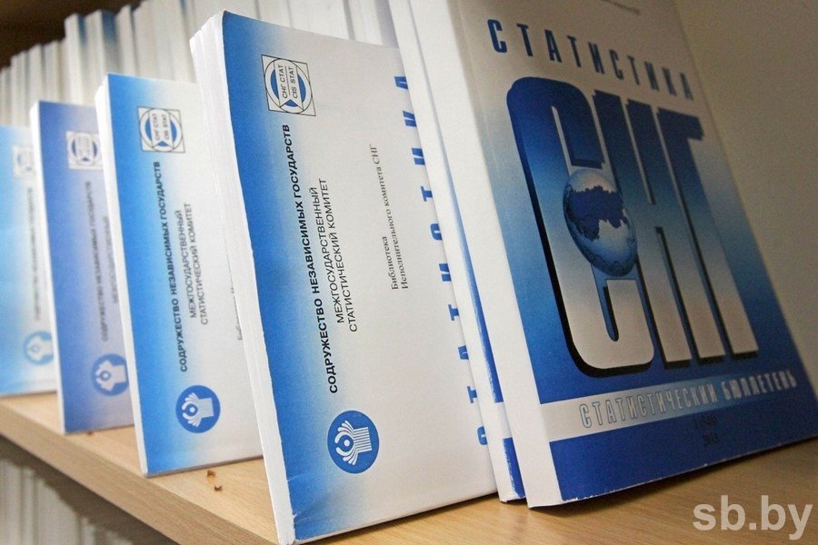 Падчас перапісу ў беларусак спытаюць, ці не збіраюцца яны завесці дзяцей