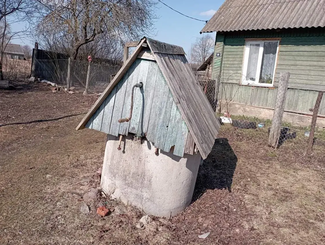 Дом віцебскай палітэмігранткі выставілі на аўкцыён
