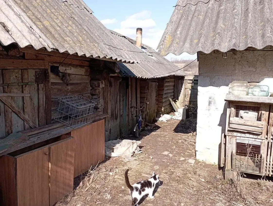 Дом віцебскай палітэмігранткі выставілі на аўкцыён