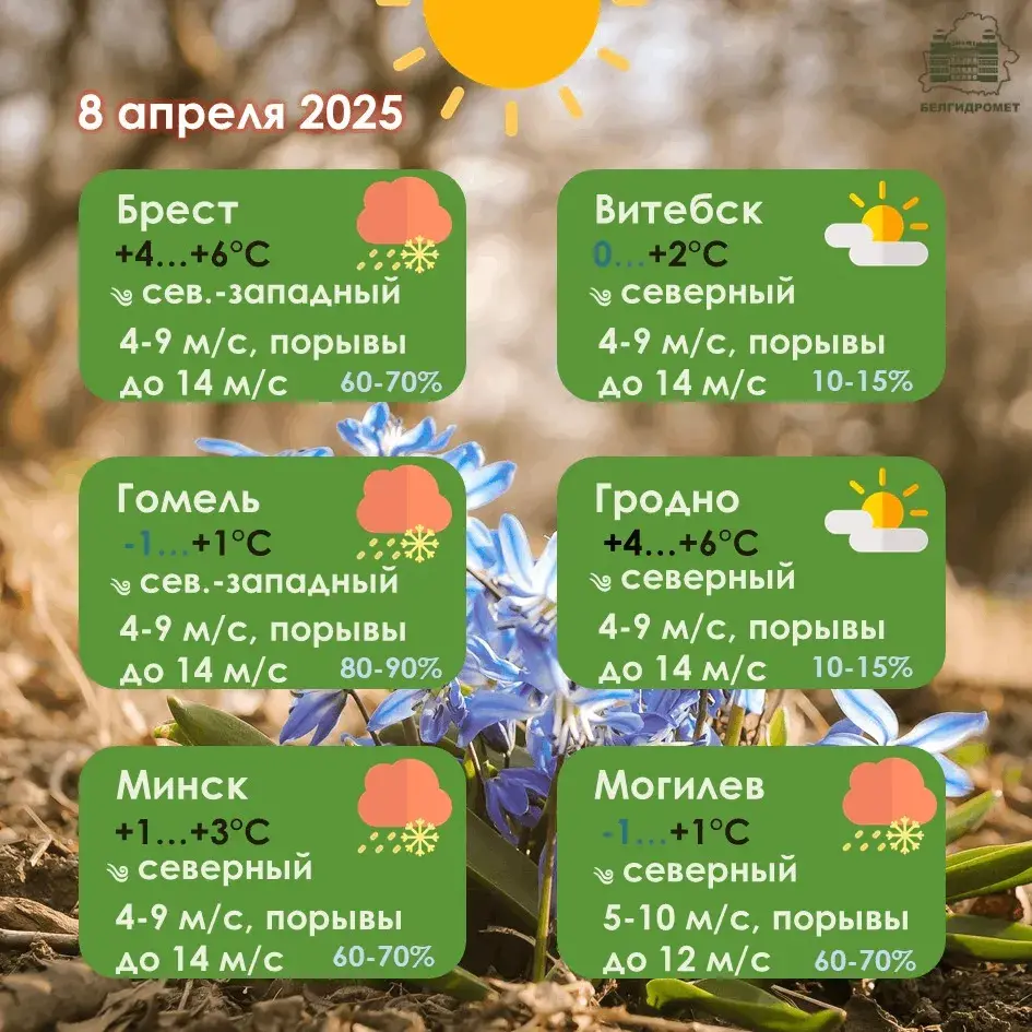 На аўторак у Беларусі абвясцілі жоўты ўзровень небяспекі