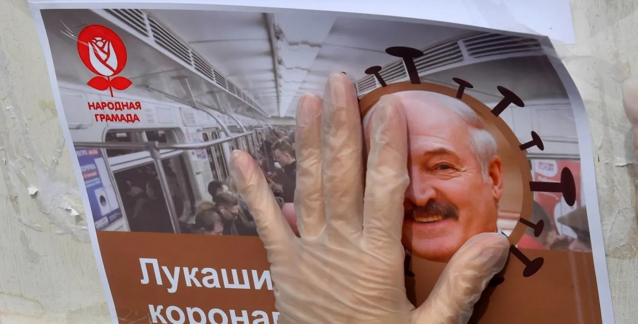 Агитационная продукция на пикете "кандидата протеста" 24 мая 2020-го в Минске​