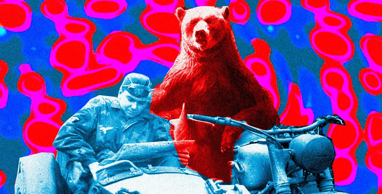 Войны влияют не только на жизни людей, но и на судьбы животных / коллаж Влада Рубанова
