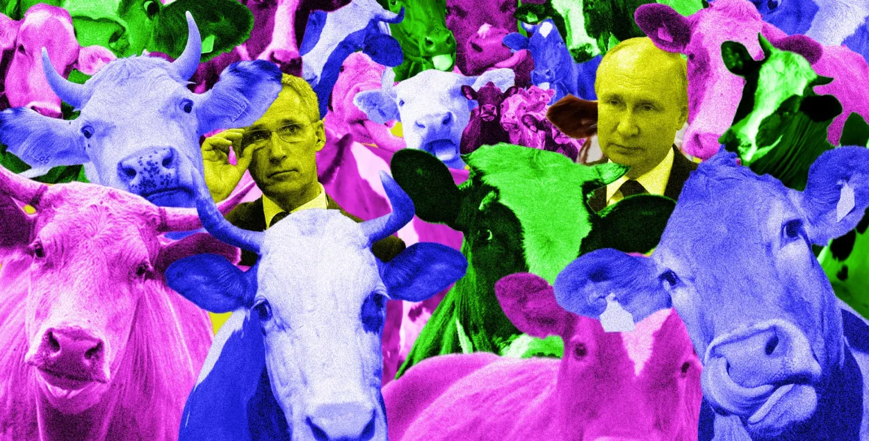 Кароткі агляд сусветных навін / калаж Улада Рубанава, Еўрарадыё