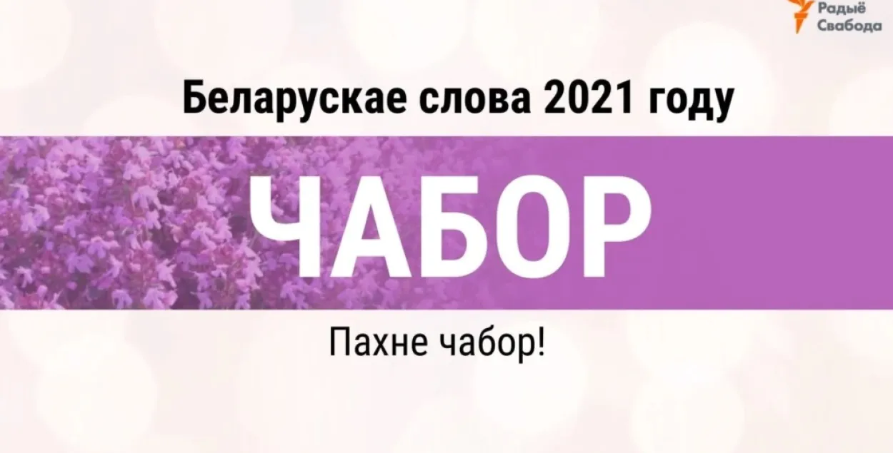 "Пахне чабор!" / Радио Свобода