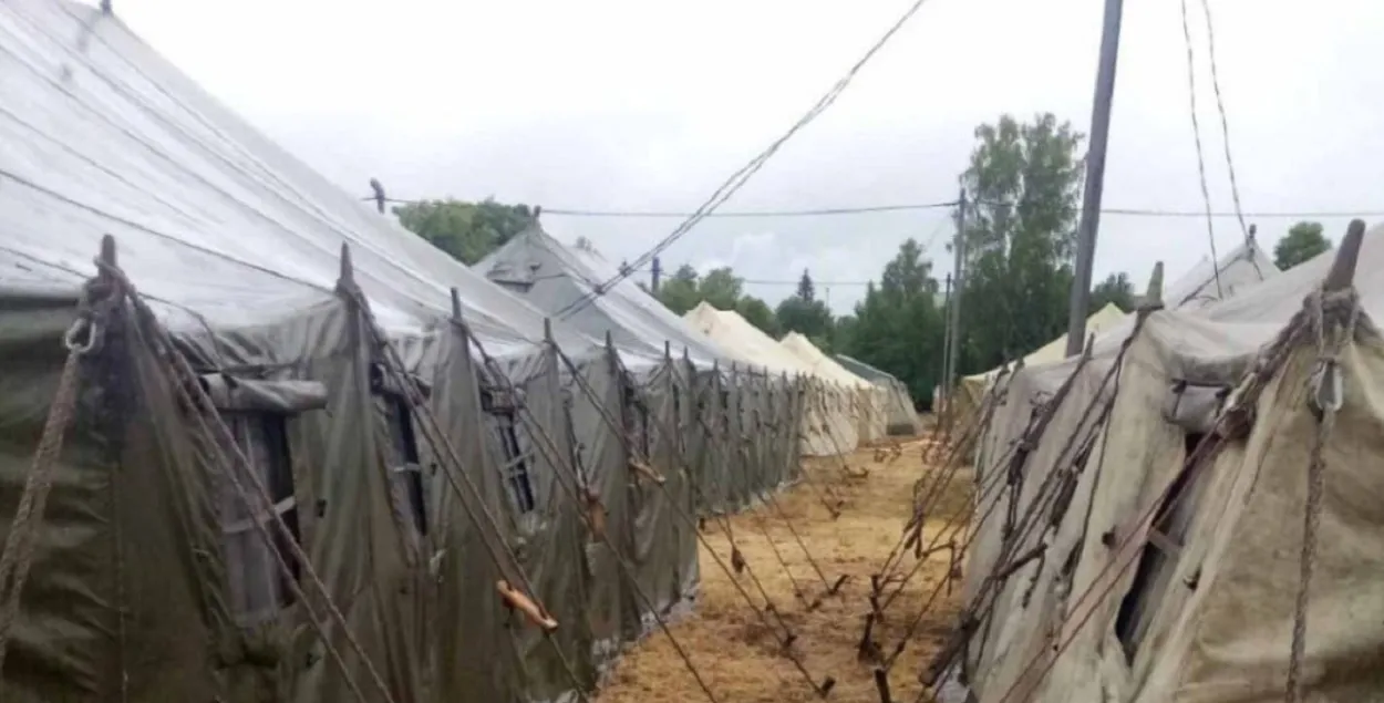 Палявы лагер пад Асіповічамі / t.me/news_sirena/
