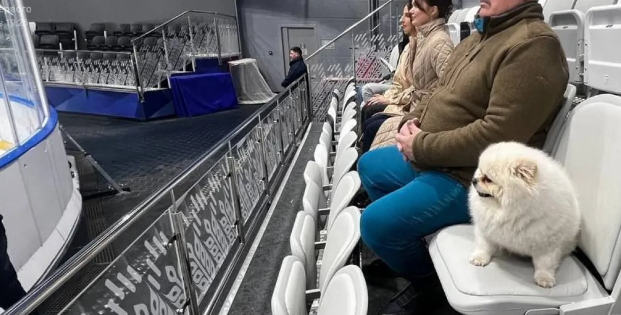 Шпіц Умка на трыбуне / Прэс-служба Аляксандра Лукашэнкі
