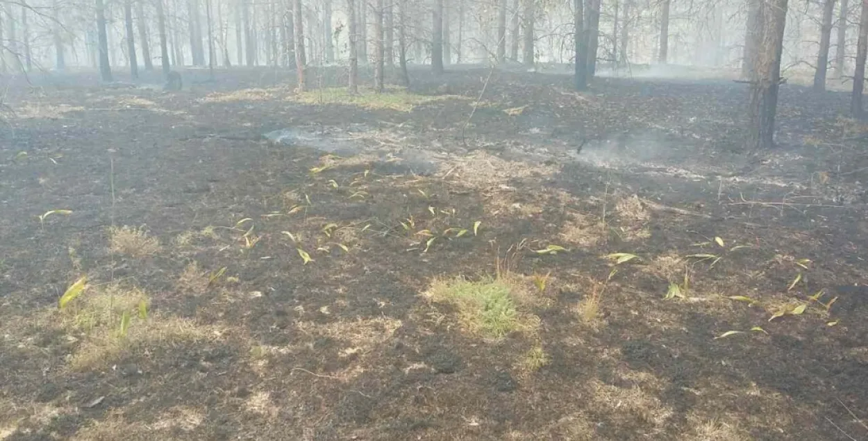 Пажар на Альманскіх балотах лакалізавалі