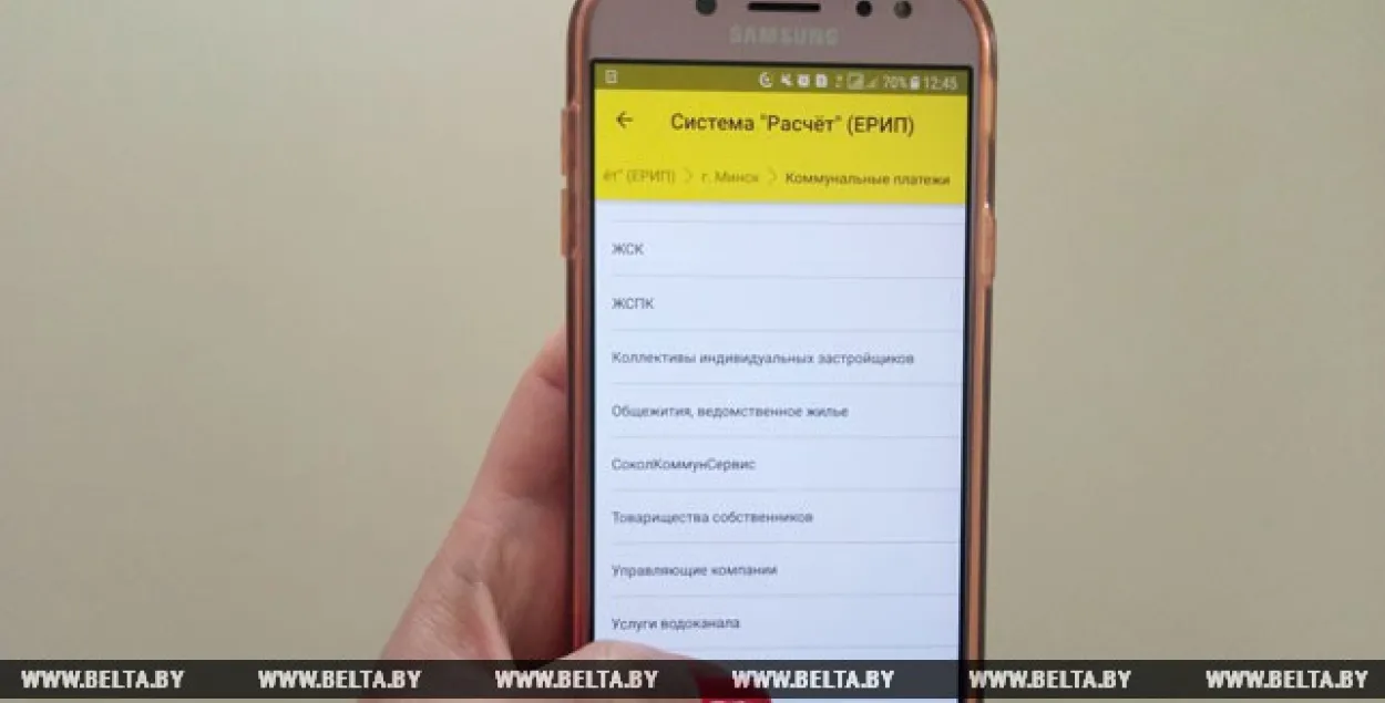 Раніцай 15 студзеня ў працы АРІП магчымы збой