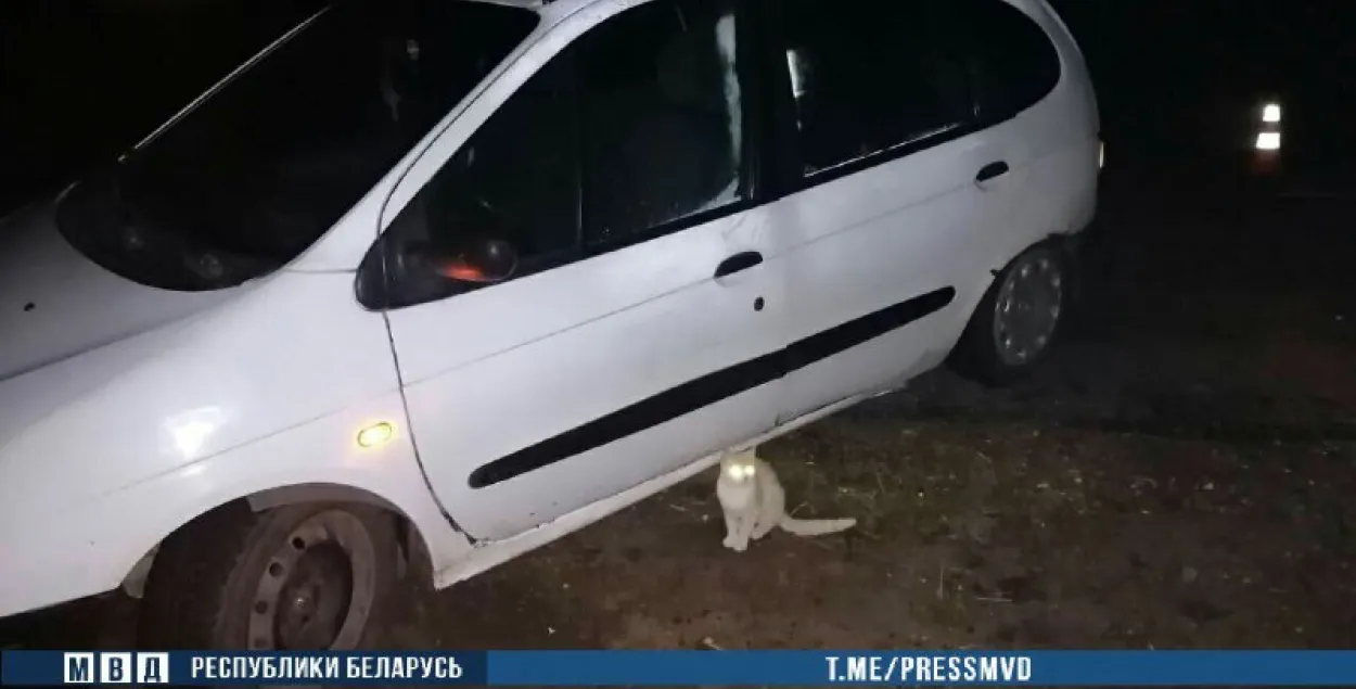 Пад Драгічынам загінуў пешаход, які ляжаў на дарозе