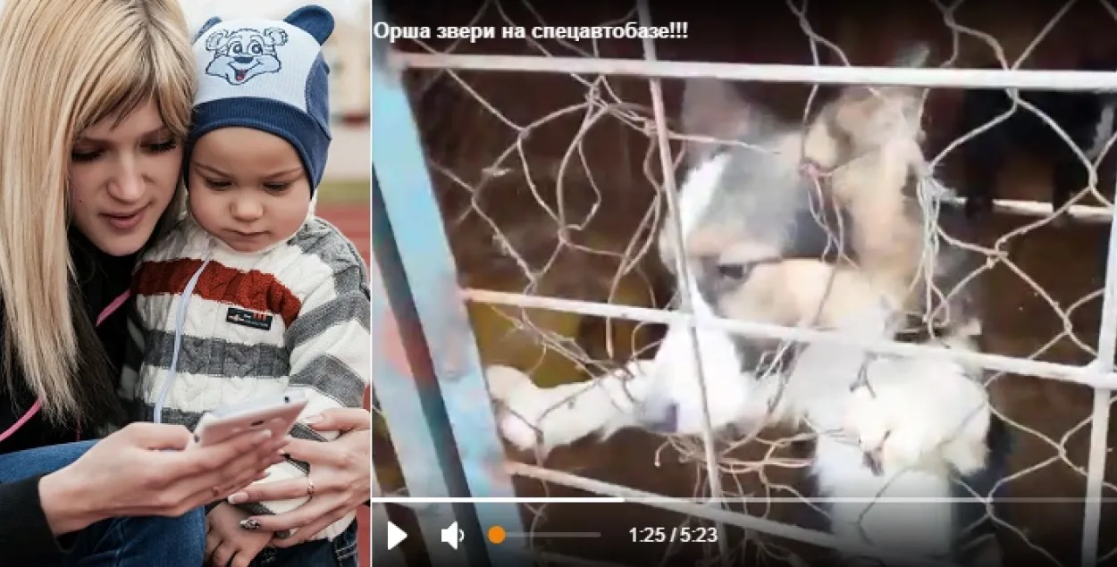 Дзяўчыну з Оршы аштрафавалі за стрым у "Аднакласнікі"