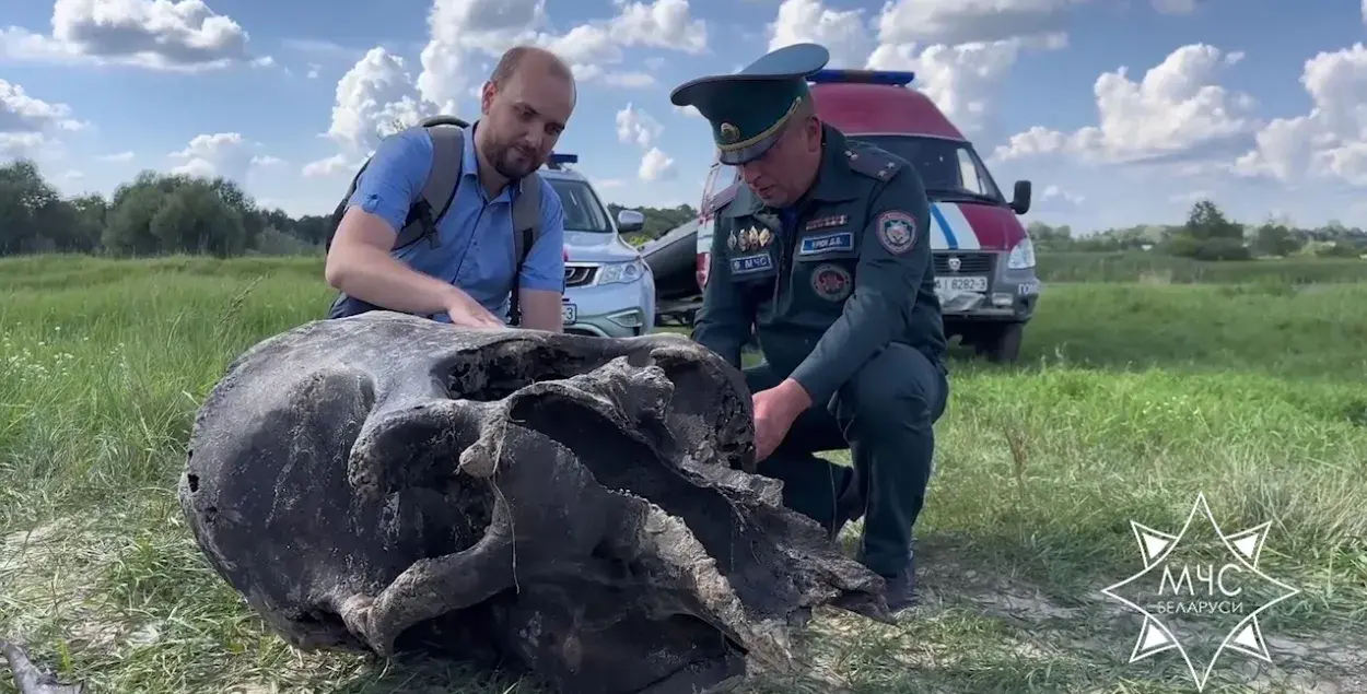 Чэрап маманта / Череп мамонта / кадр з відэа МНС
