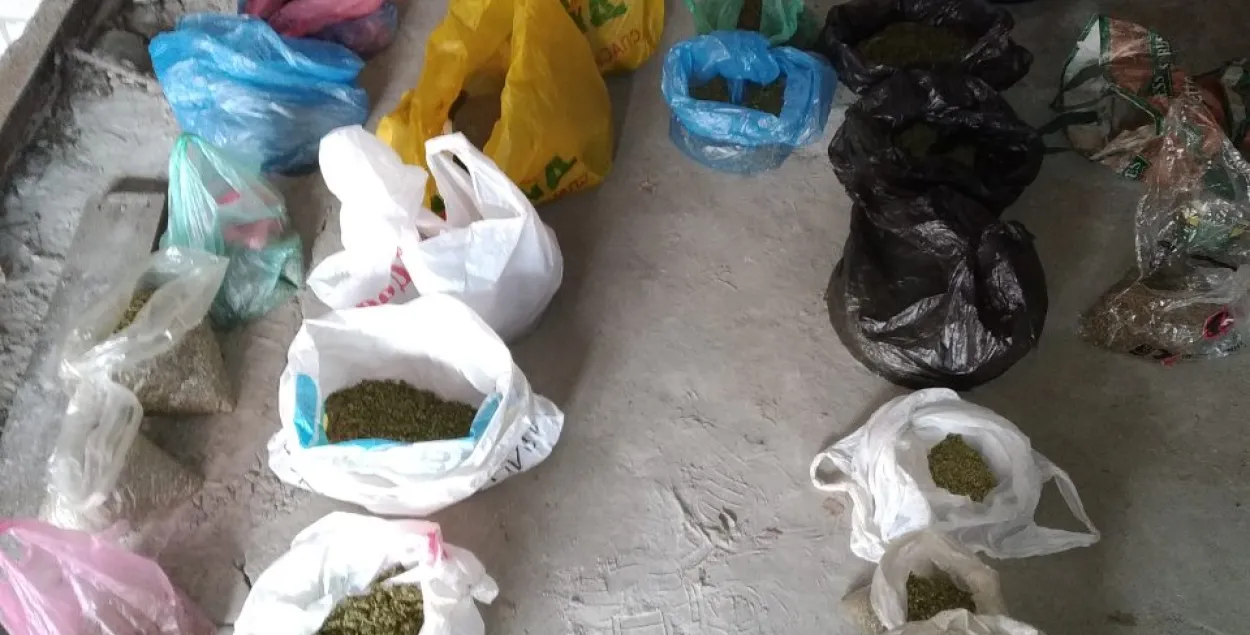 У жыхара Мікашэвічаў дома знайшлі 8,5 кг марыхуаны