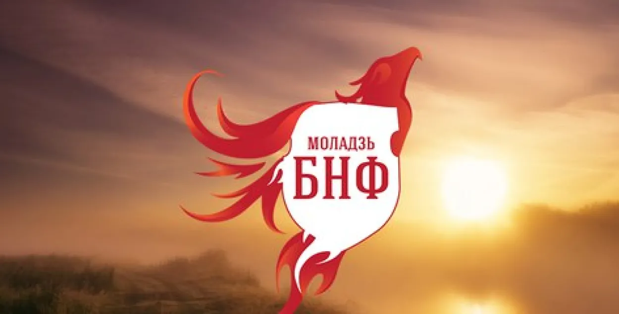 Эмблема "Молодежи БНФ"​