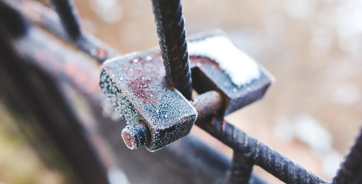 Фото: pixabay.com