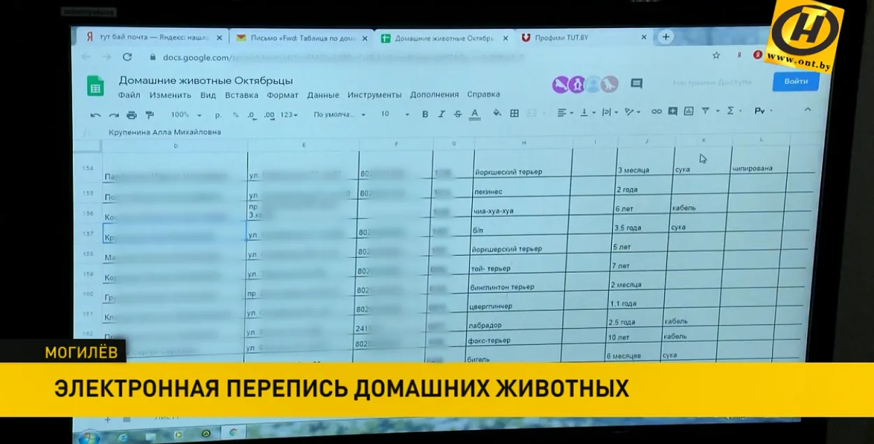 Хроники IT-страны: Телеканал ОНТ слил персональные данные могилёвских собачников