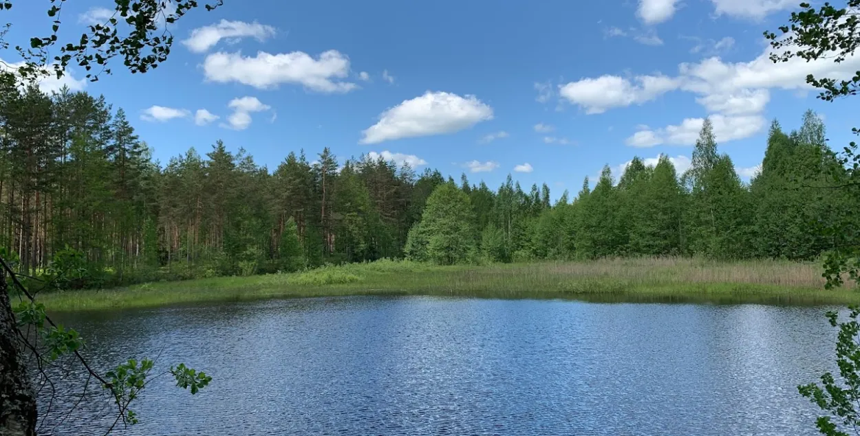 Спякота
