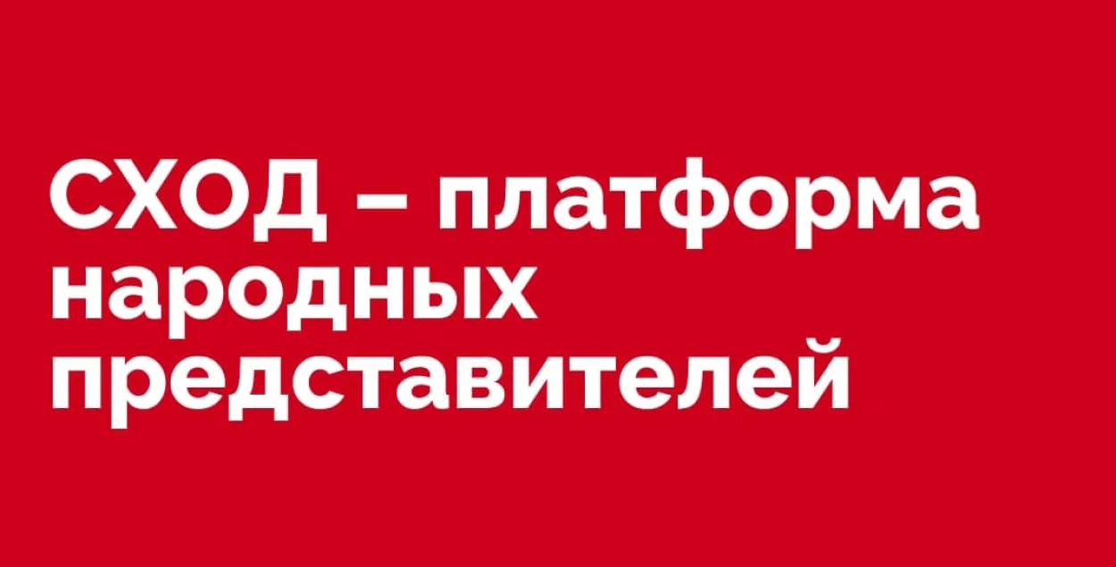 Платформа "Сход" попала в список экстремистских формирований​