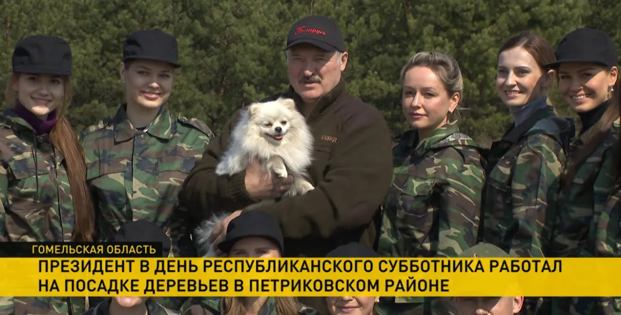 Лукашэнка са шпіцы Умка на суботніку ў Петрыкаўскім раёне&nbsp;/ ОНТ