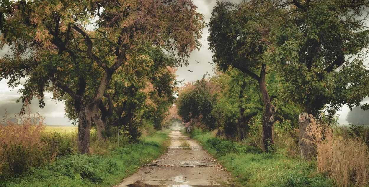 Лужына, ілюстрацыйнае фота
