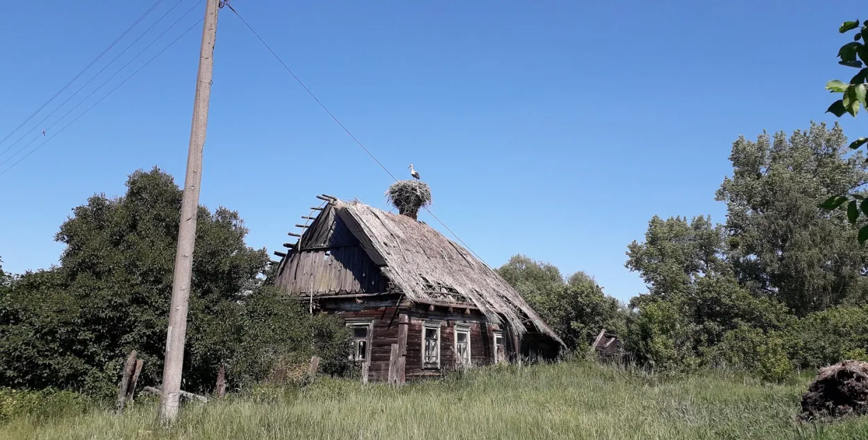 Лето в Кудричах на Полесье
