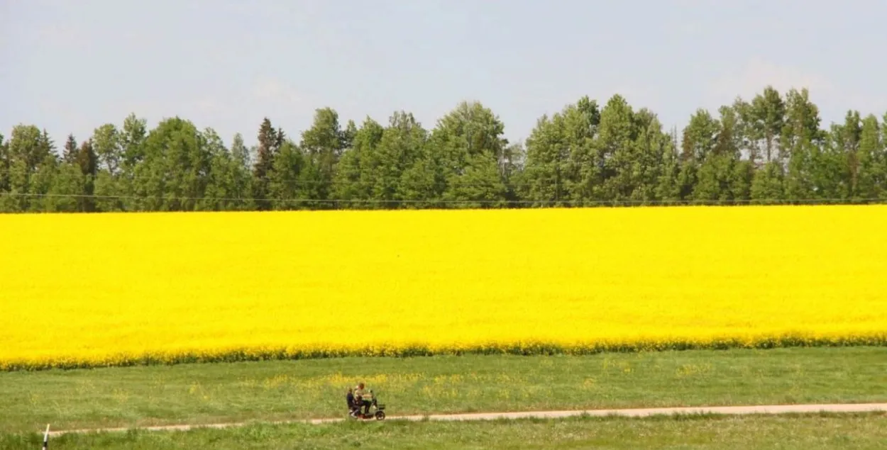 В мае в Беларуси
