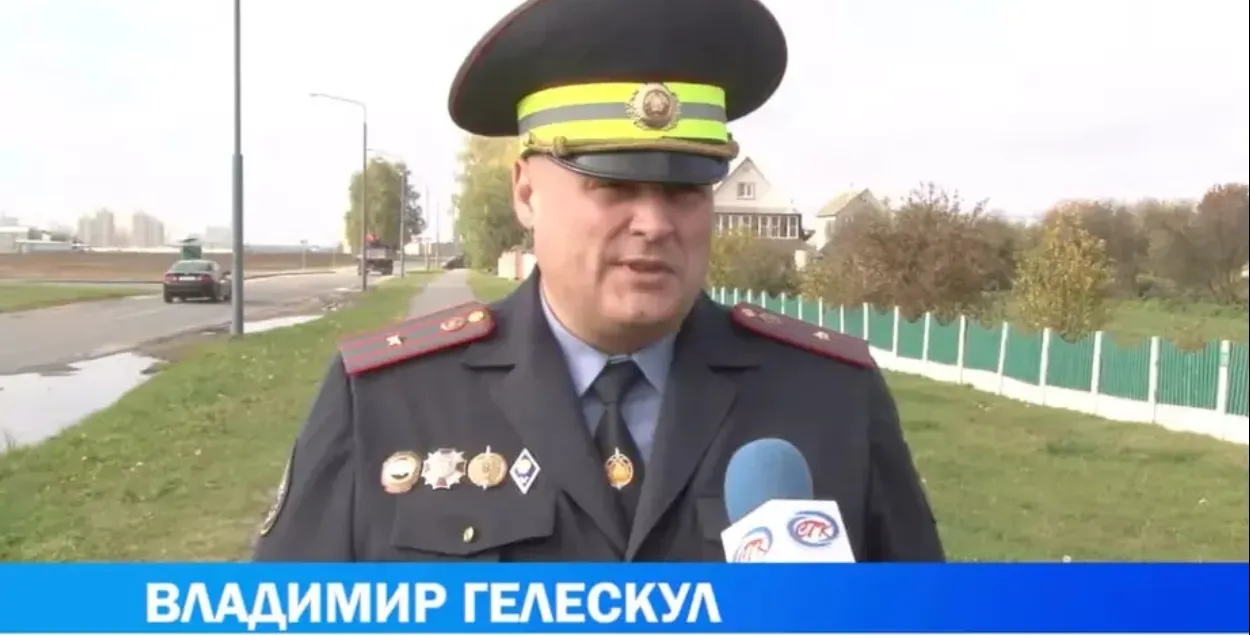 Владимир Гелескул
