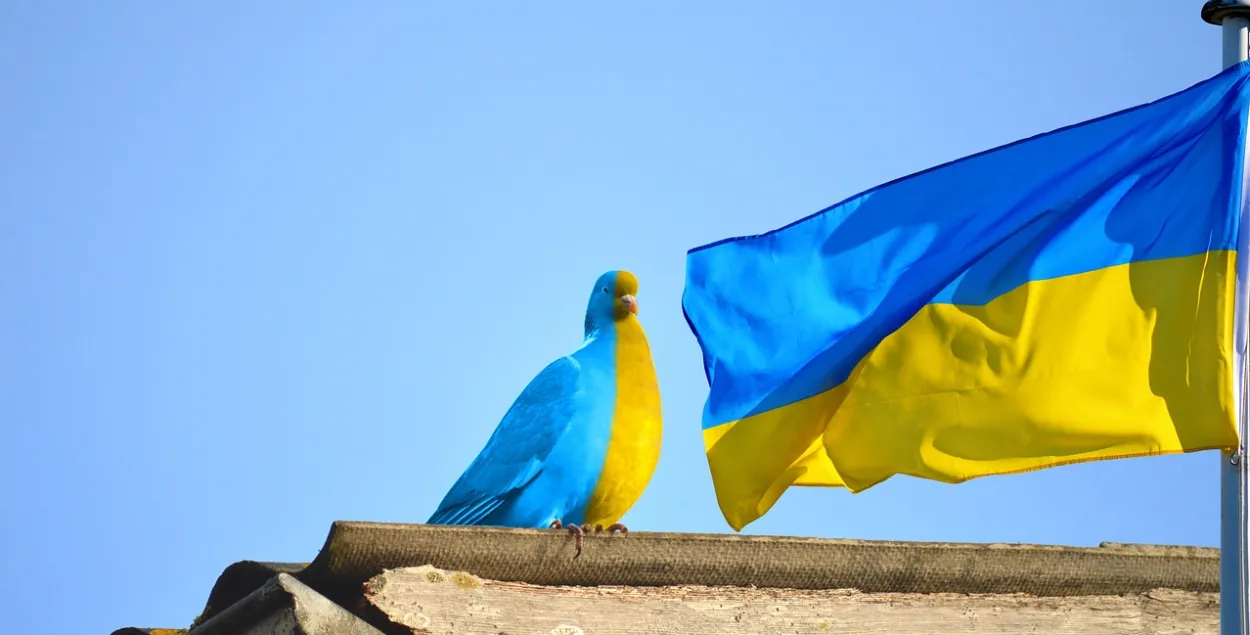 Украина, иллюстративное фото
