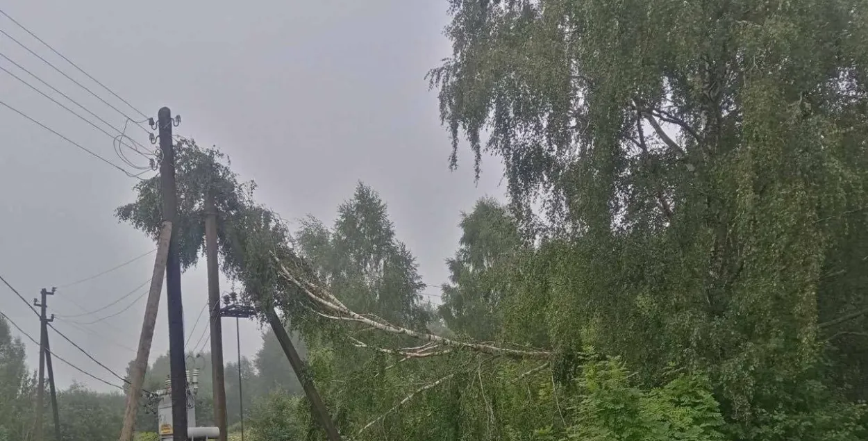 Наступствы ўрагану
