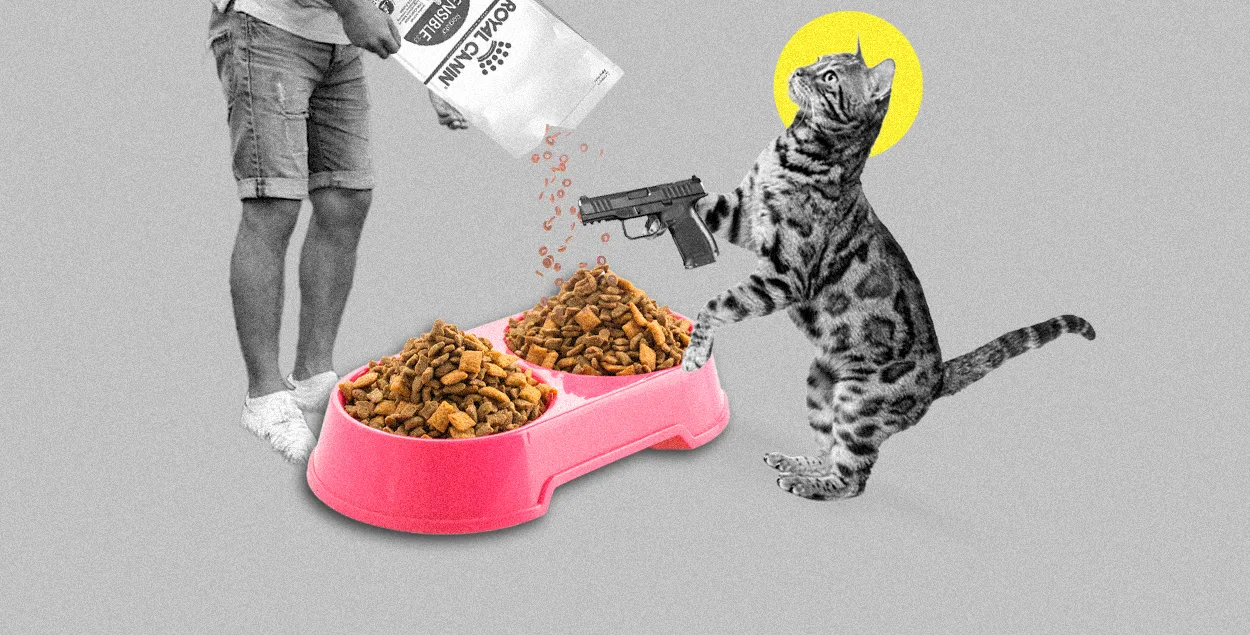 Коця бывае кусачы
