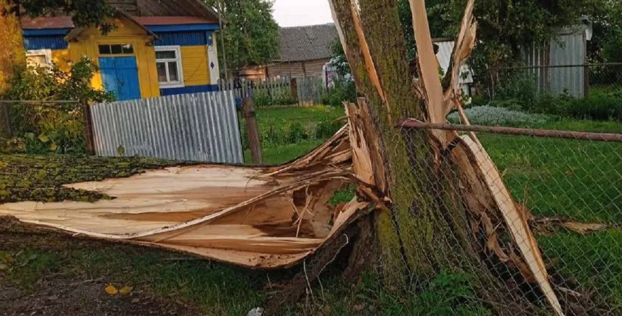 Наступствы ліпеньскага ўрагану
