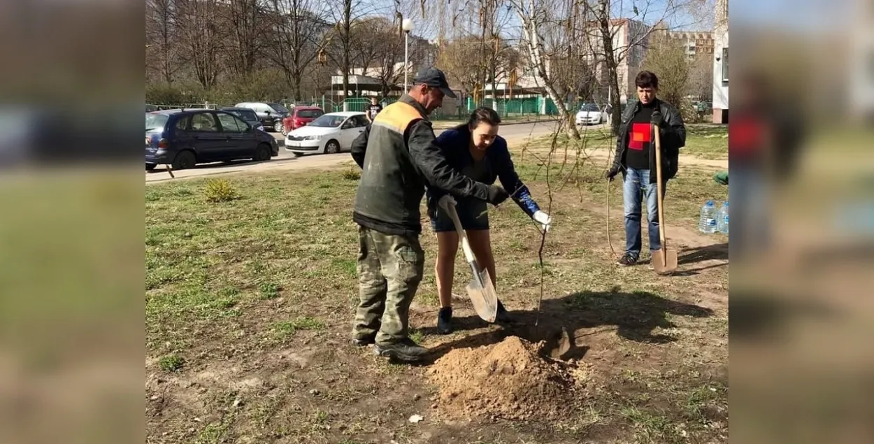 Анна Канопацкая сажает дерево
