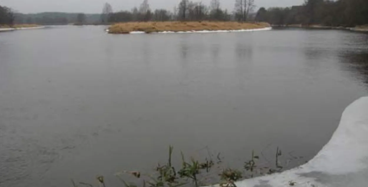 Вілія каля Данюшава
