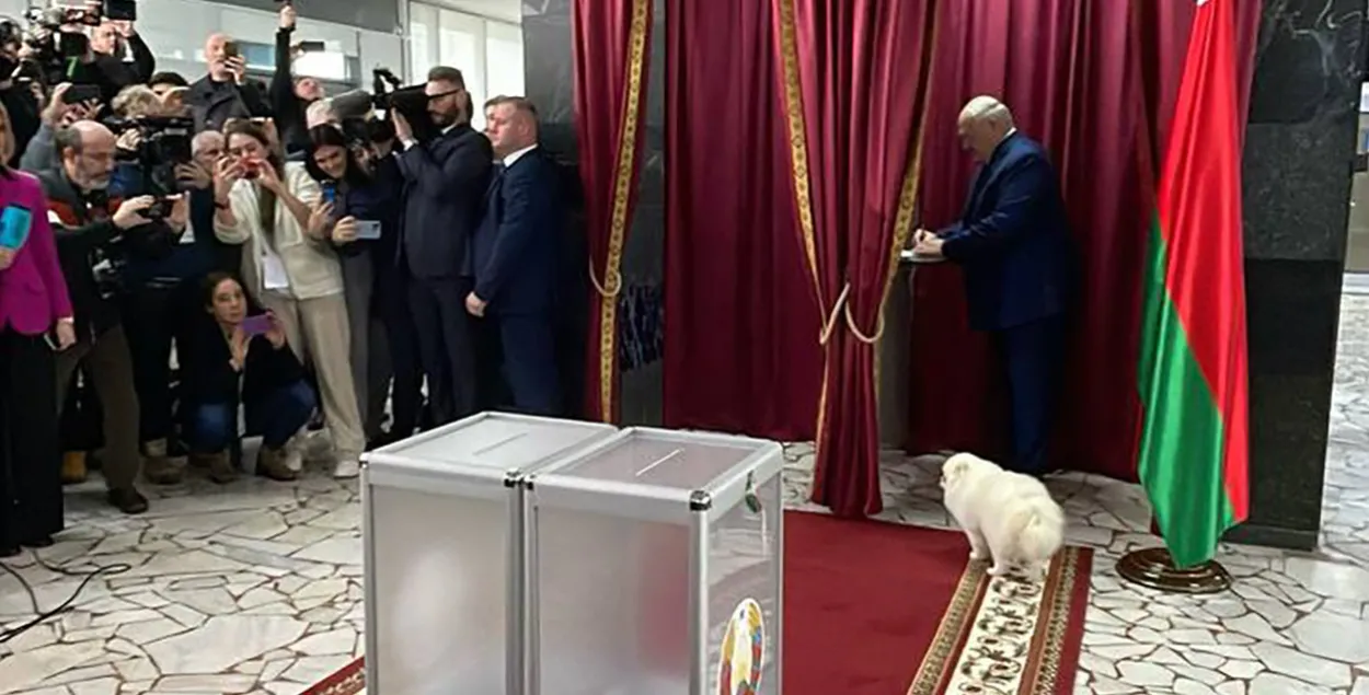 Умка пометил участок Лукашенко видео