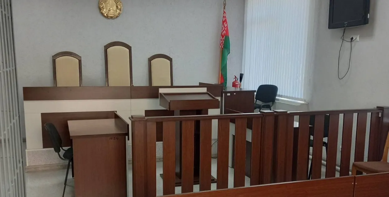 Суд в РБ заочно вынес приговоры Стрижаку и Леончику

