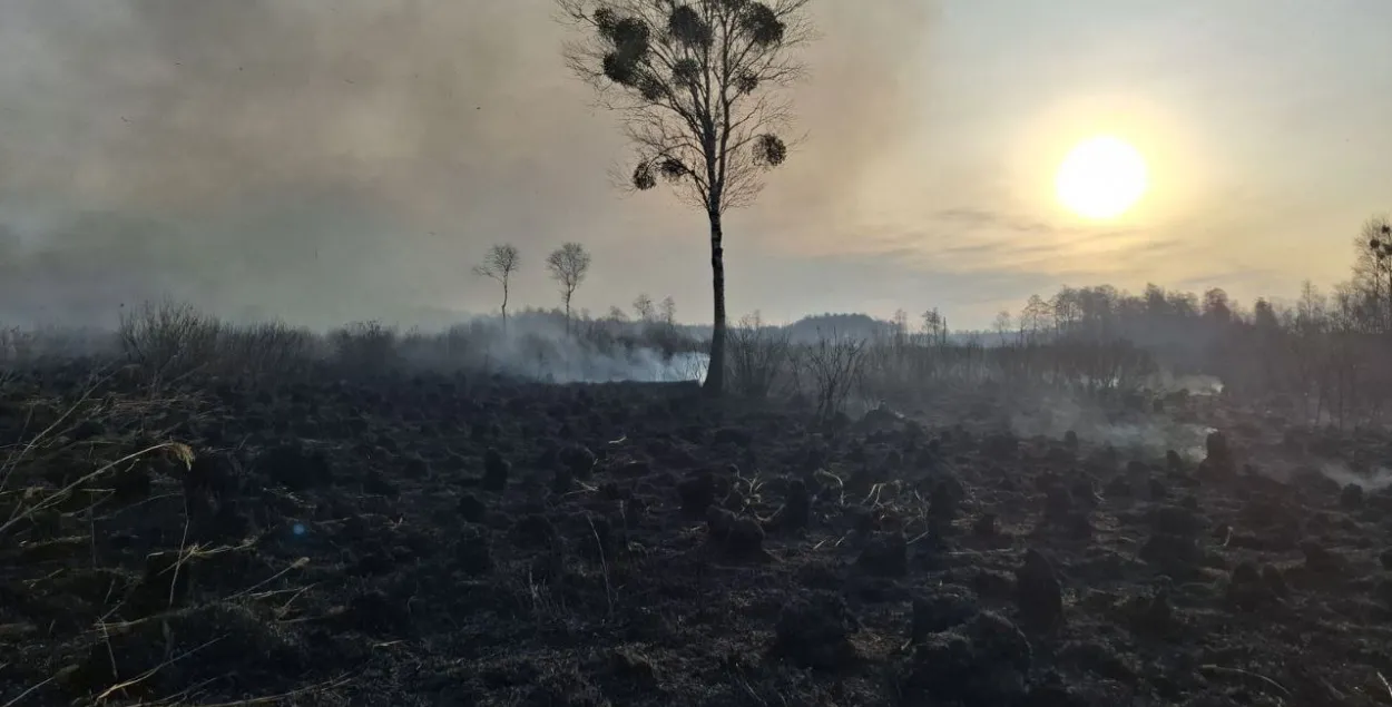 Пажар на балоце

