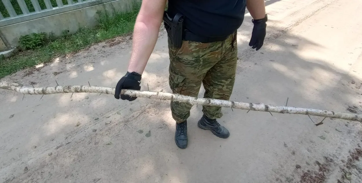 Такими кольями бросались нарушители границы в польских пограничников
