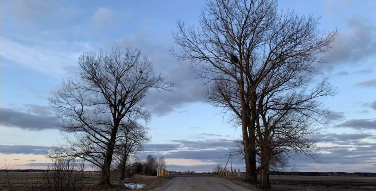 Вясна, ілюстрацыйнае фота
