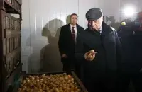 Роман Головченко проверяет условия хранения овощей: такой лук нужен самим! / БЕЛТА
