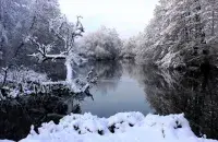 Зимой в Беларуси / t.me/tropinki/
