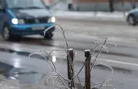 Гололед, иллюстративное фото
