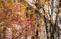 Восень у Беларусі / Еўрарадыё
