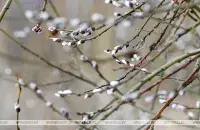 У Беларусь ідзе пацяпленне / БЕЛТА
