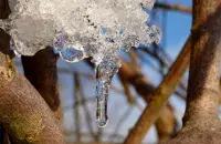 Вясна ў Беларусь не спяшаецца / pixabay.com, ілюстрацыйнае фота

