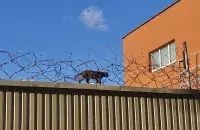 Тюрьма
