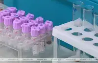 БЕЛТА