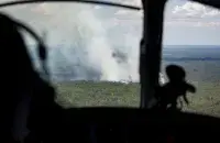 Лясны пажар
