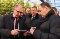 Премьер Роман Головченко и огурец
