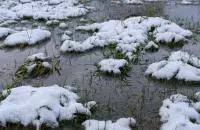 Погода на выходные будет почти весенняя

