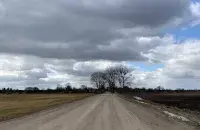 Вясна, ілюстрацыйнае фота
